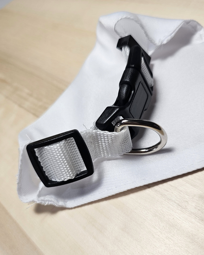 Bandana de perro personalizada