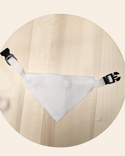 Bandana de perro personalizada